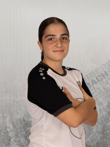 Dilem Er