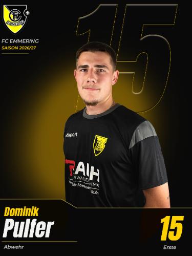Avatar Bild für Dominik Pulfer
