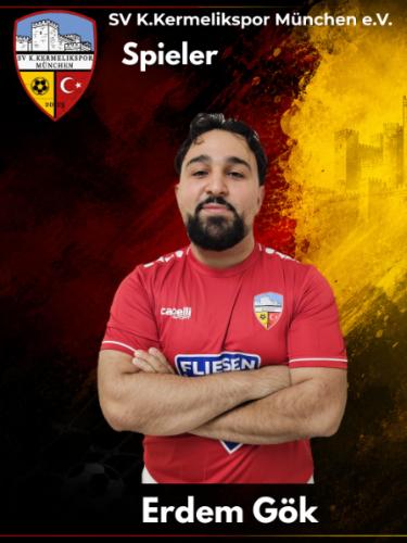 Erdem Gök