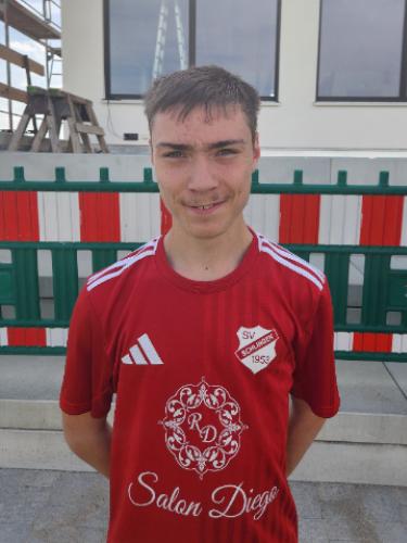Tobias Schweiger