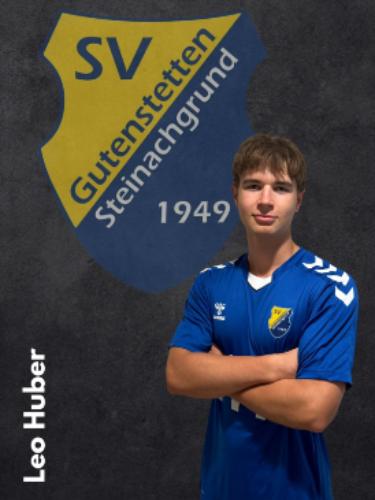 Avatar Bild für Leo Huber