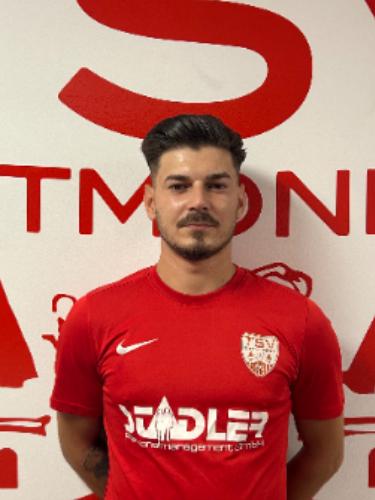 Raducu Scarlat