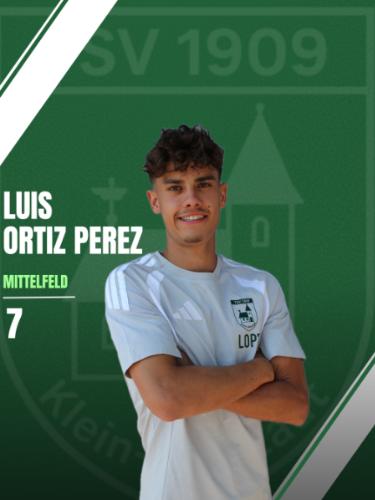 Avatar Bild für Luis Ortiz Perez