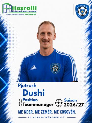 Avatar Bild für Pjetrush Dushi