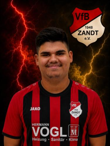 David Amrllahi
