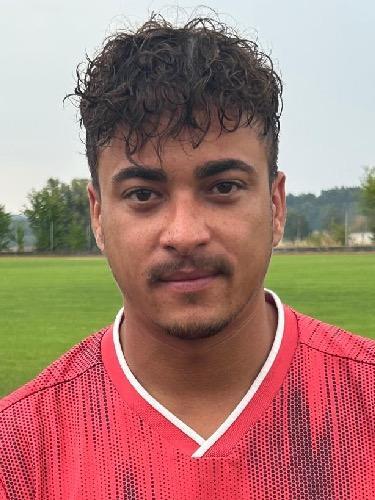 Manuel Sengl