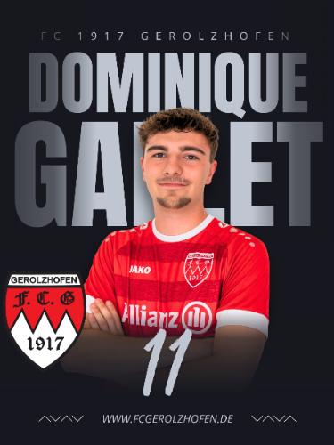 Avatar Bild für Dominique Gallet