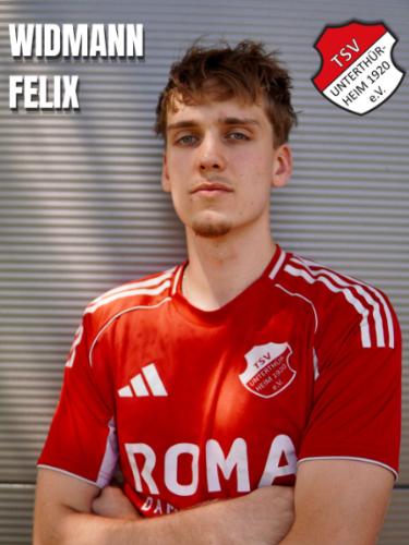 Avatar Bild für Felix Widmann