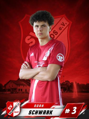 Noah Schwark