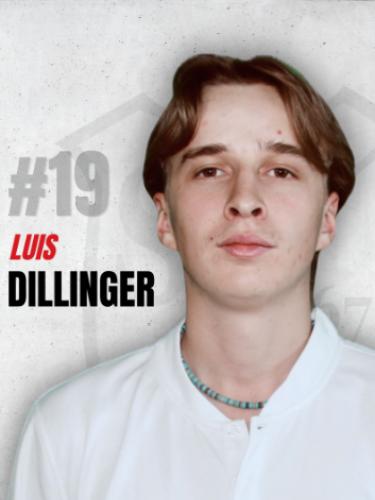 Avatar Bild für Luis Dillinger
