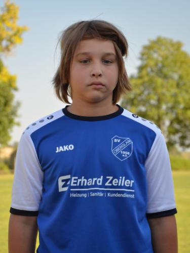 Janis Gerstl