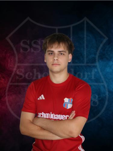 Danylo Strelnikov