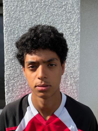 Waleed Alahmad