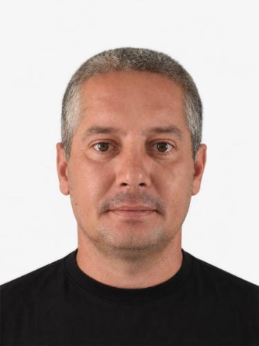 Niko Ammel