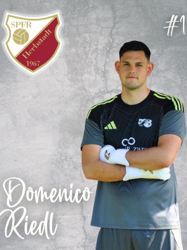 Domenico Riedl