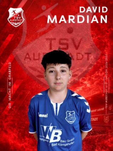 David Mardian