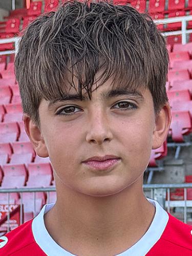 Emir Desic