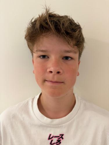 Hannes Letonja