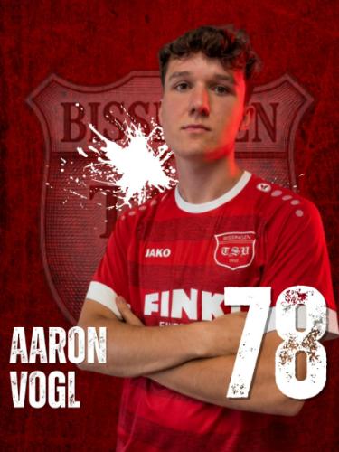 Avatar Bild für Aaron Vogl