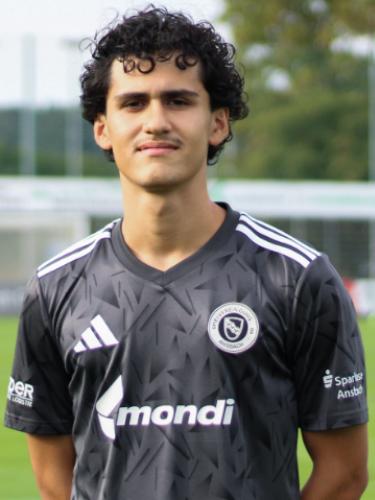 Ari Demir