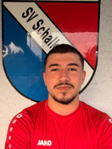 Dalil Albari