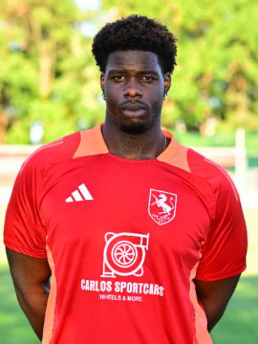 Siegfried Badu
