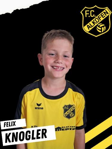 Felix Knogler