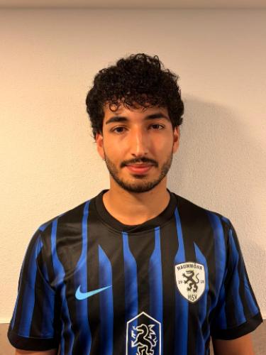 Mojtaba Mokhtari