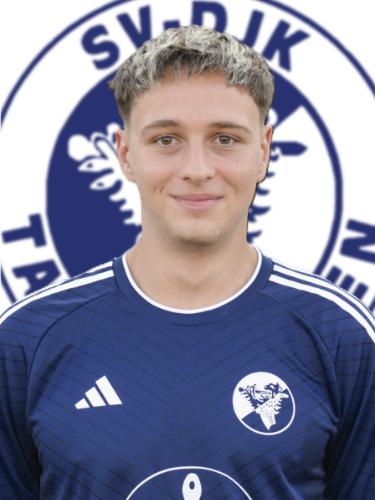 Karl Thiemann