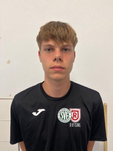 Dominik Jungwirth