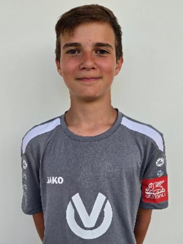 Lion Henning