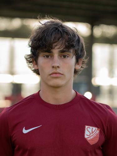 Lucian Saric