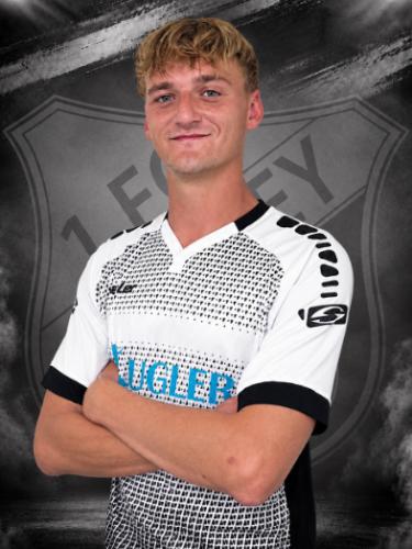 Willy Baumer
