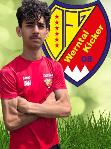 Ahmad Wali