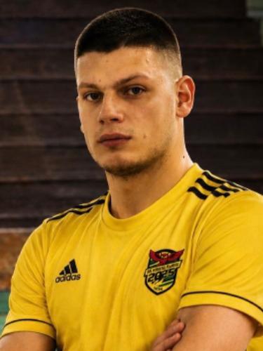 Srdan Vukicevic