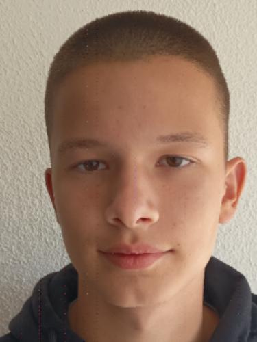 Damjan Tomic