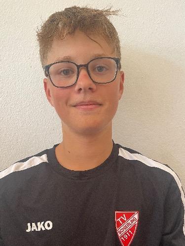 Felix Sollinger