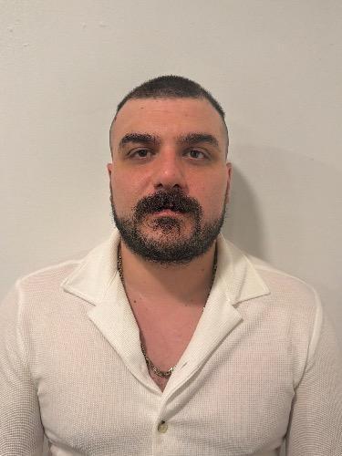 Hami Yanik
