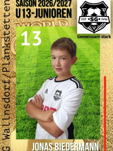 Jonas Biedermann
