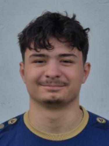 Dionis Berisha