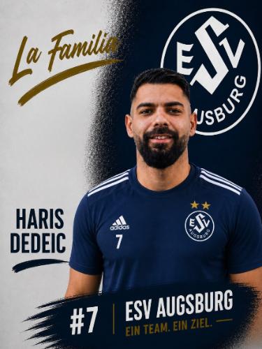 Haris Dedeic