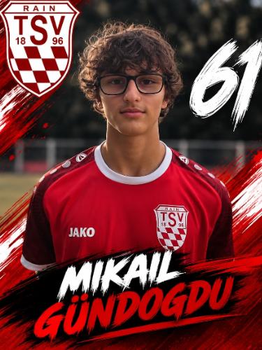Avatar Bild für Mikael Gündogdu