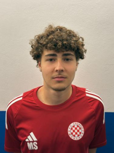 Dominik Bozic