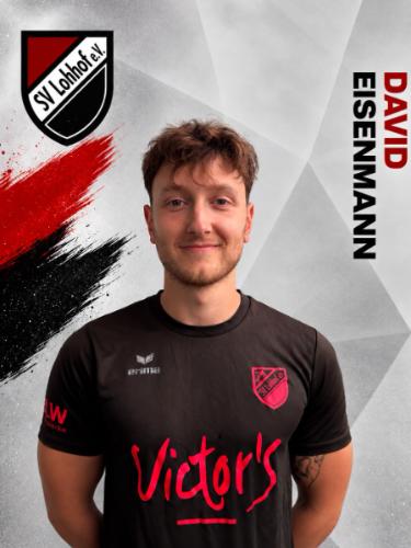 David Eisenmann