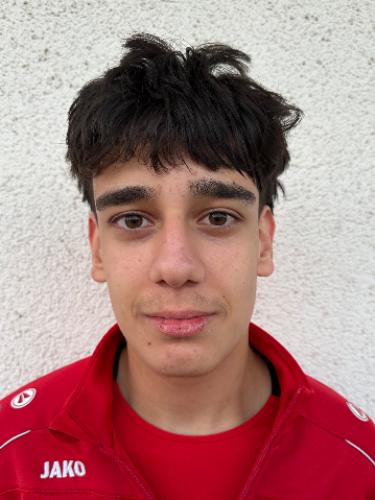 Arda Celikten