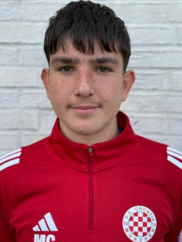 Tomislav Bulic