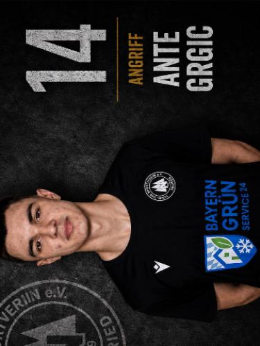 Ante Grgic