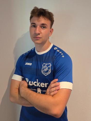 Stanko Bendarevic