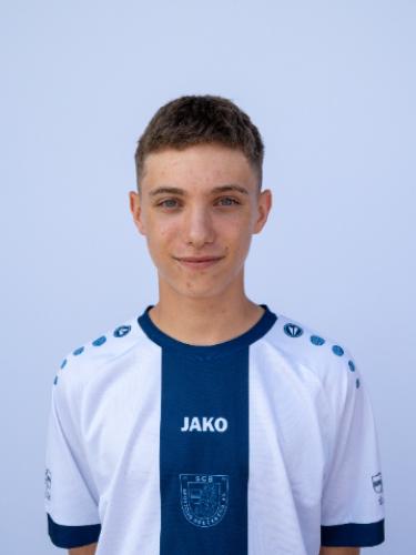 Damien Poitner