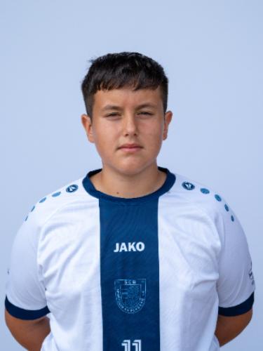 Avatar Bild für Altion Sylaj